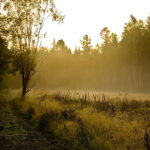 Attractions for the seeker on the spiritual path – An Upanishadic thought-9